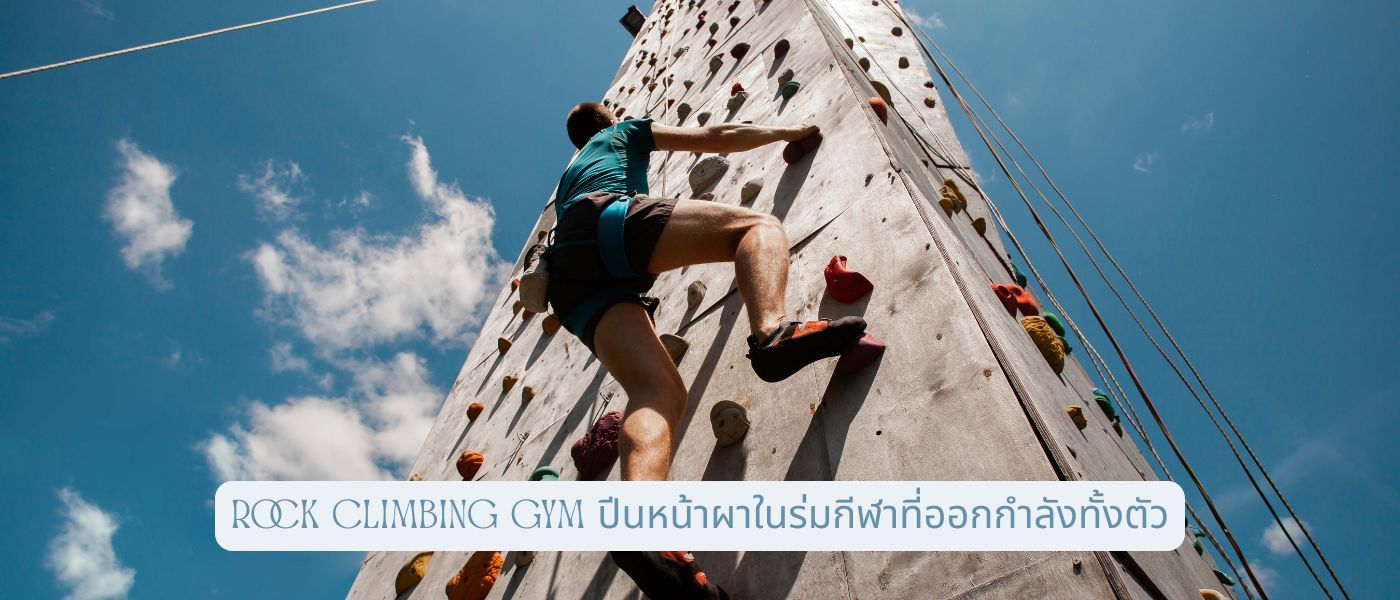 Rock Climbing Gym ปีนหน้าผาในร่มกีฬาที่ออกกำลังทั้งตัว